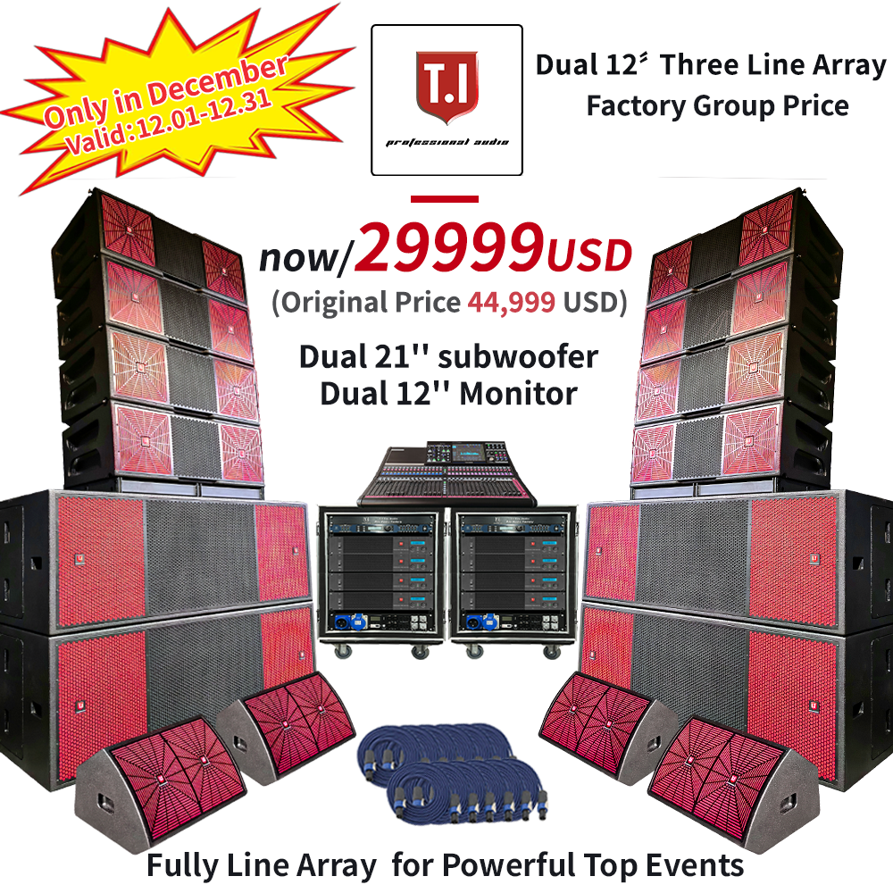 Pro212 dual 12'' three way large scale events powerful shows.